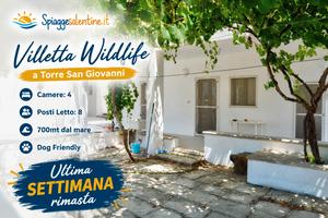Ultima disponib 22-29 Ago LowCost Torre S.Giovanni
