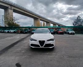 Alfa Romeo Stelvio 2.2 Turbodiesel 210 CV AT8 Q4 S