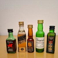 5 mignon da collezione 