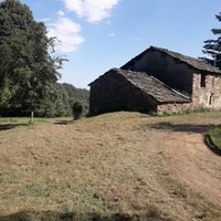 Rustico
