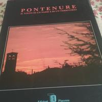 libro  pontenure    piacenza