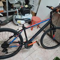 bicicletta ragazzo