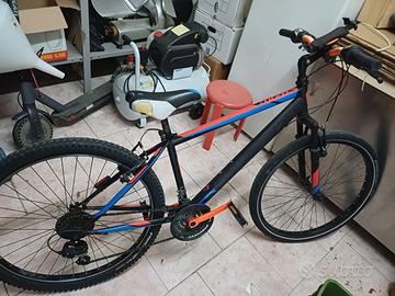 bicicletta ragazzo