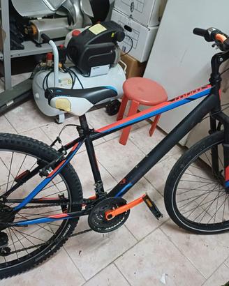 bicicletta ragazzo