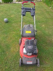 tagliaerba professionale