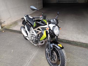 suzuki Gladius 650