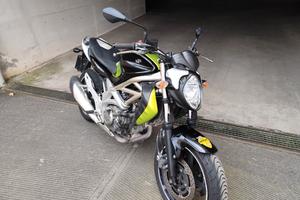 suzuki Gladius 650
