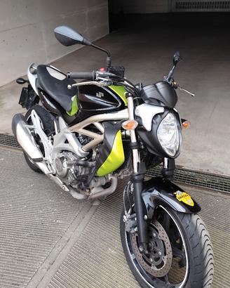 suzuki Gladius 650