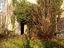 Immagine 10