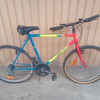 bici mountain bike