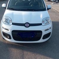 Fiat Panda Azzurri 2017