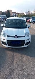 Fiat Panda Azzurri 2017
