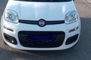 Fiat Panda Azzurri 2017