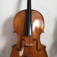 VIOLONCELLO