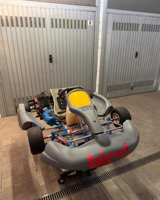 2 Kart 100cc motore IAME pronti pista + carrello