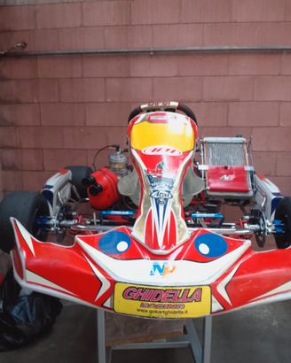 kart 125 monomarcia birel