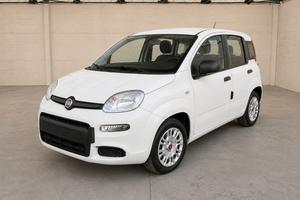 FIAT Panda III 2021 - Panda 1.0 firefly hybrid Cit