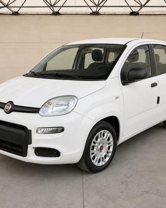 FIAT Panda III 2021 - Panda 1.0 firefly hybrid Cit