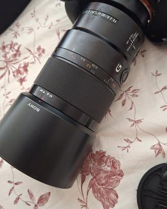 Sony FE 90mm f/2.8 Macro G OSS