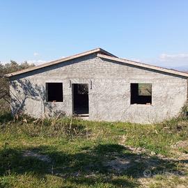 Terreno con uliveto e casetta