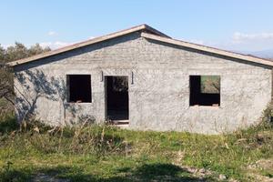 Terreno con uliveto e casetta