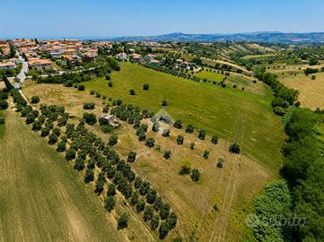TER. RESIDENZIALE A MOSCIANO SANT'ANGELO
