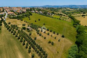 TER. RESIDENZIALE A MOSCIANO SANT'ANGELO