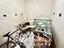 Immagine 11