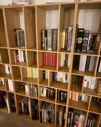 Libreria modulare Habitat “Kuda” in rovere — 2 mod