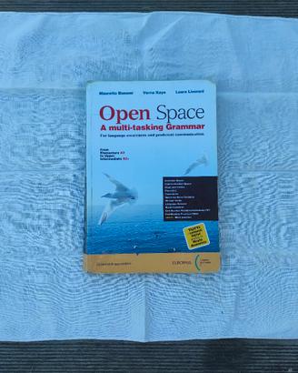 ISBN 9788841643556 Open Space A multi-tasking G.