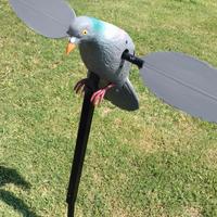 Colombaccio ali rotanti - NUOVO con Telecomando