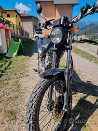 Yamaha triker 250