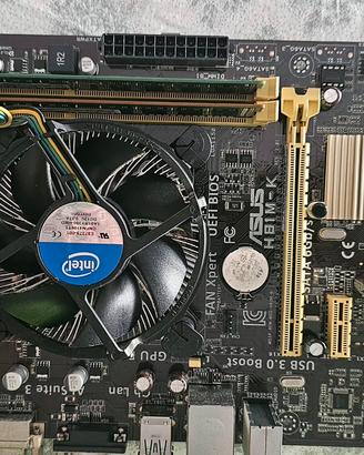 Scheda madre ASUS H81M-k con processore I3, memora
