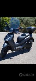 Sym HD 300