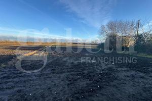 Terreno Agricolo San Tammaro [Cod. rif 3292042VCG]