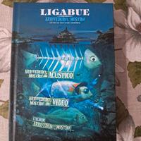 Ligabue - Arrivederci, mostro!