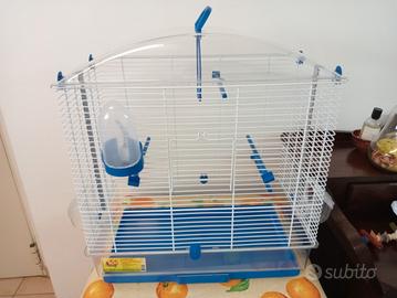 Gabbia per uccellini e cocorite