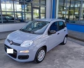 Fiat Panda 1.2 69cv Pop anno 2019