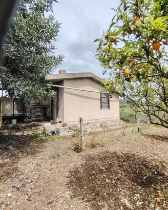 Terreno agricolo con casetta