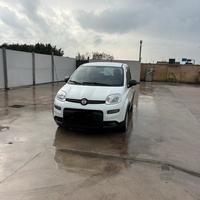 Panda hibryd 2021