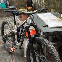 Transition patrol custom M