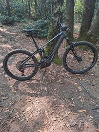 Orbea Wild