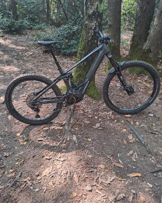 Orbea Wild