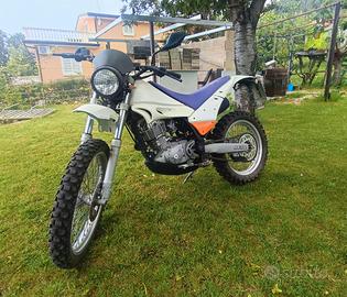 beta alp 200