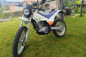 beta alp 200