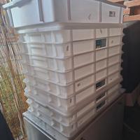 Vaschette panificio accessori