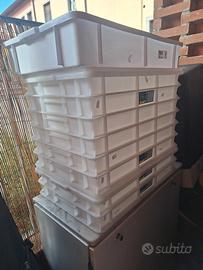 Vaschette panificio accessori