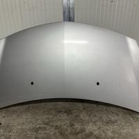 COFANO ANTERIORE RENAULT Clio Serie (04>08)