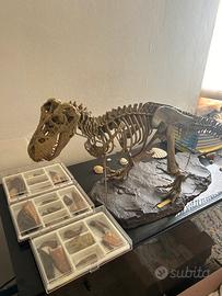 raccolta completa sulle tracce dei dinosauri