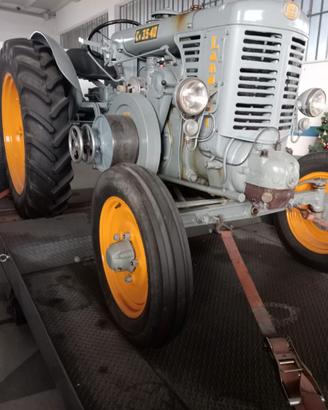 LANDINI DA COLLEZIONE